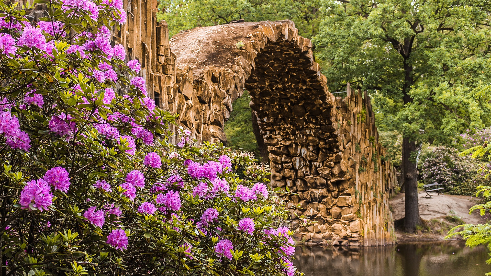 Header Teich Rhododendron (Emerson)