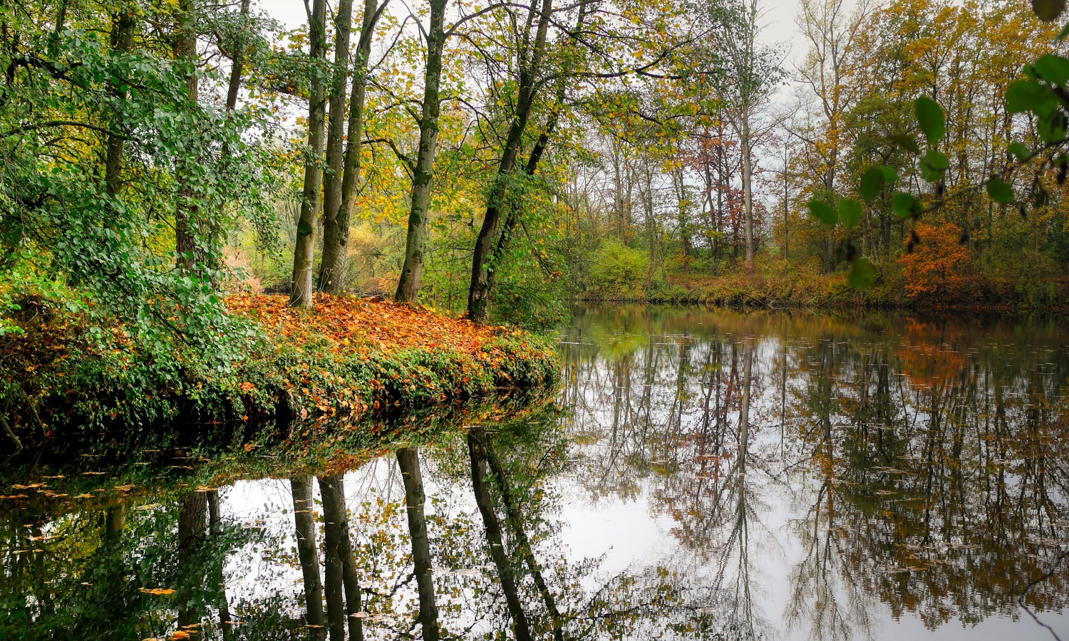 Stefan George: Komm in den totgesagten park und schau